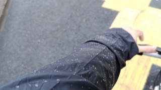 Thumbnail of post image 102