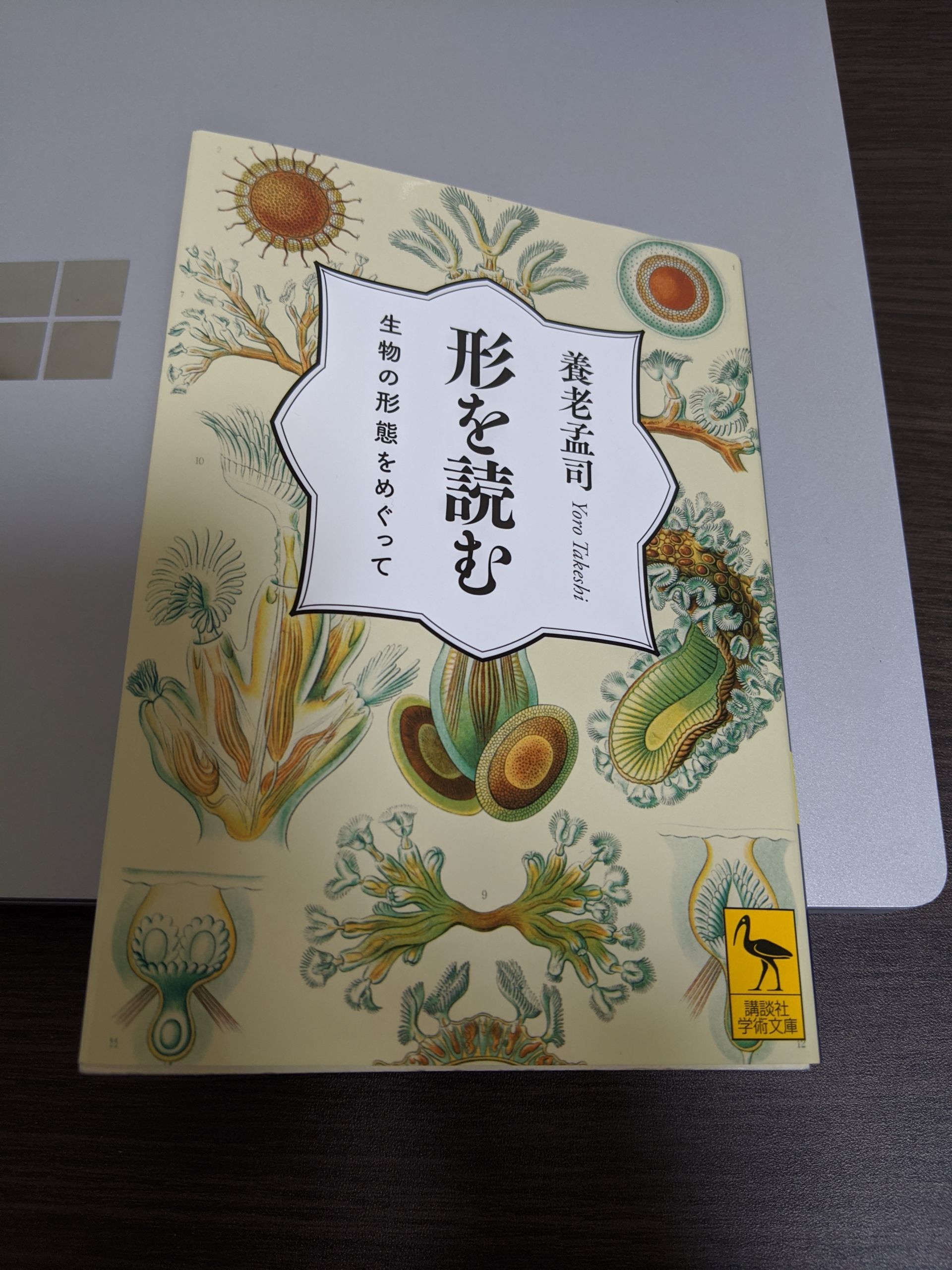 養老孟司先生の形を読む